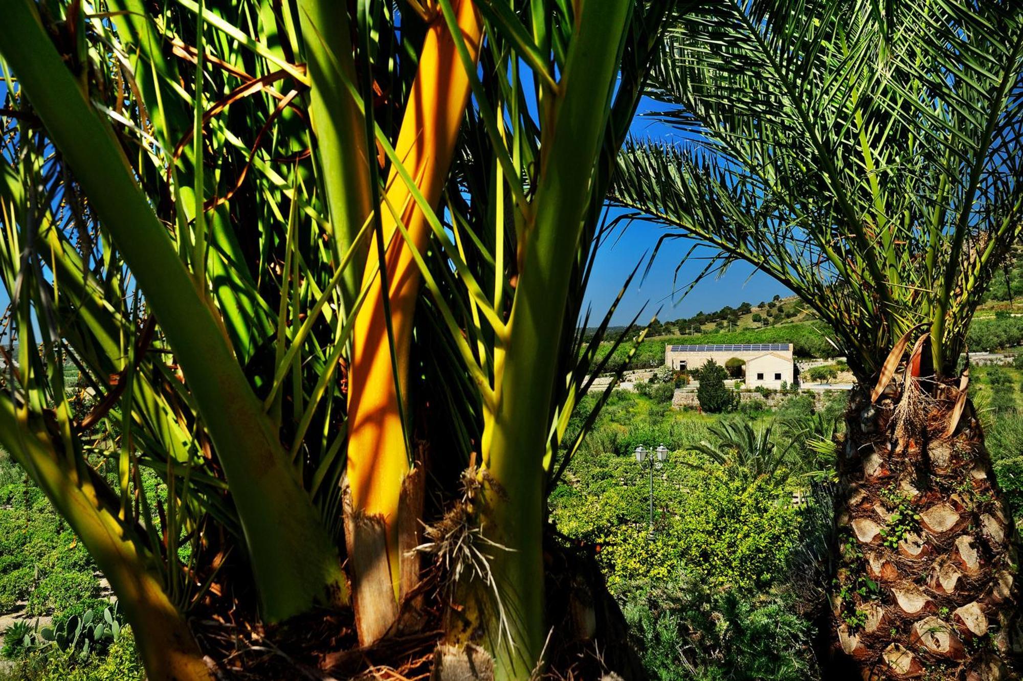 Kallikoros Country Resort & Spa Noto Exteriör bild