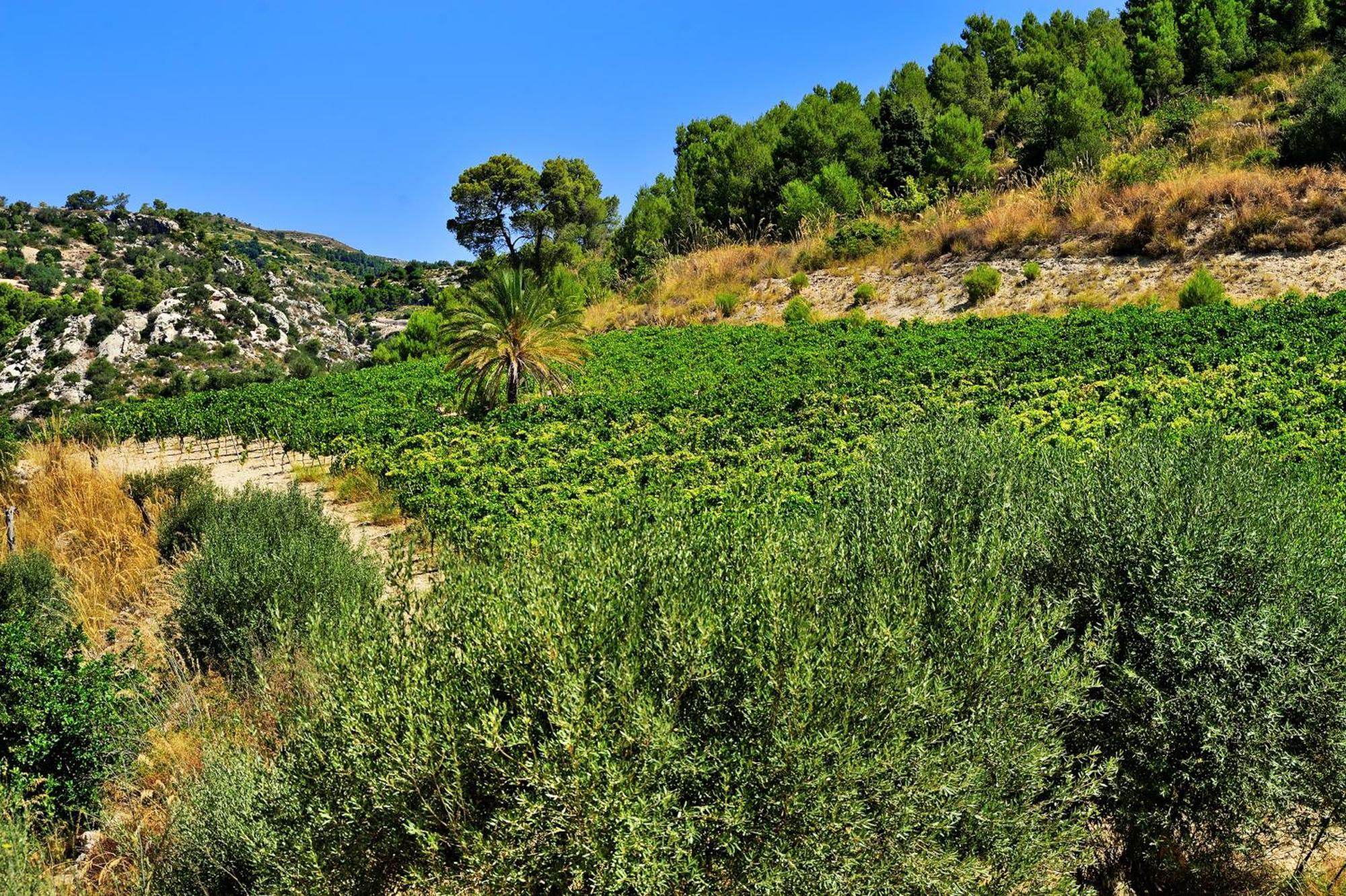 Kallikoros Country Resort & Spa Noto Exteriör bild