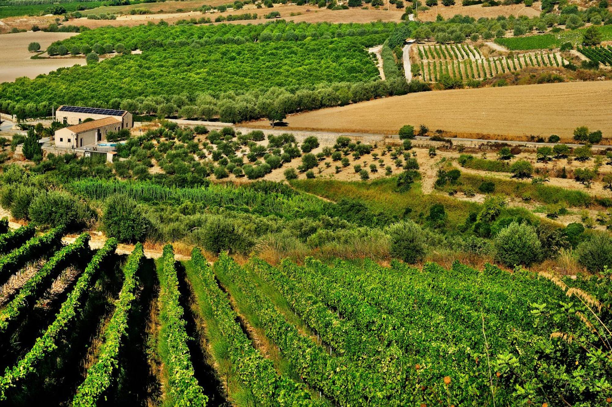 Kallikoros Country Resort & Spa Noto Exteriör bild