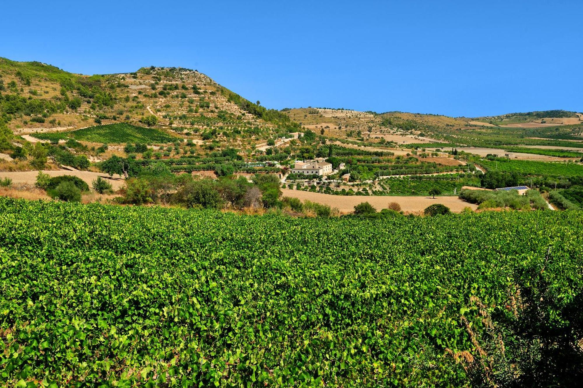 Kallikoros Country Resort & Spa Noto Exteriör bild