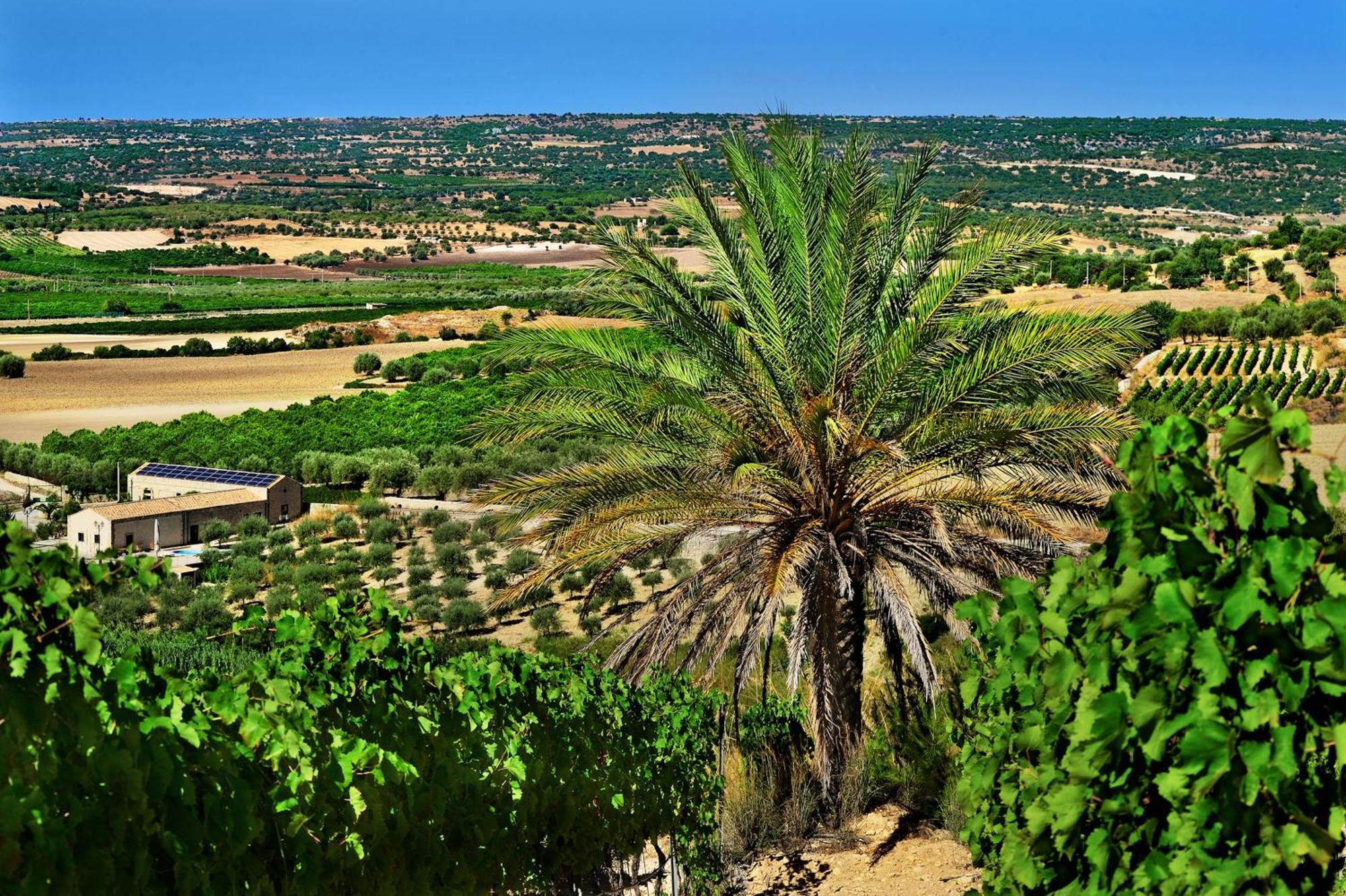 Kallikoros Country Resort & Spa Noto Exteriör bild