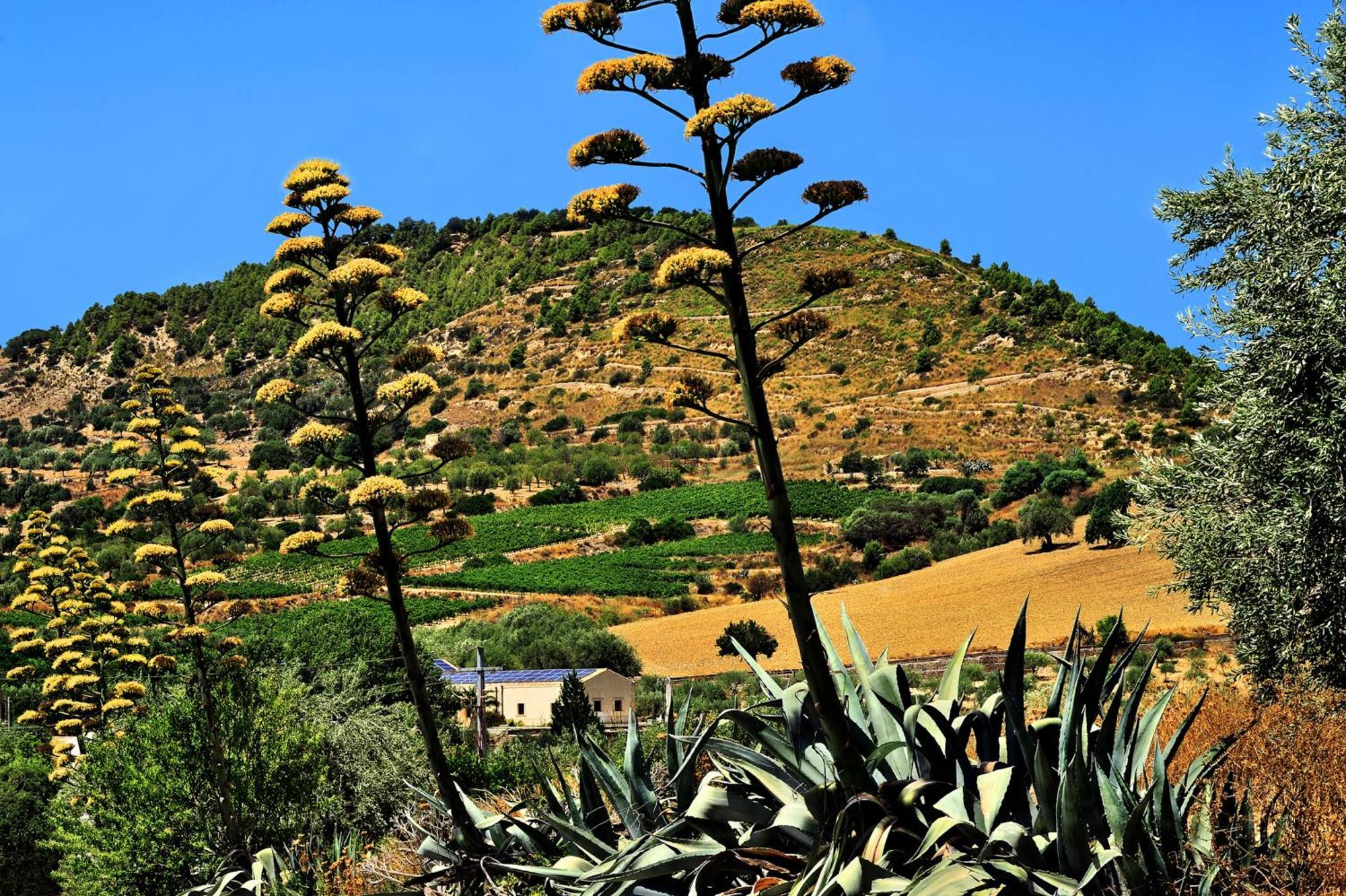 Kallikoros Country Resort & Spa Noto Exteriör bild