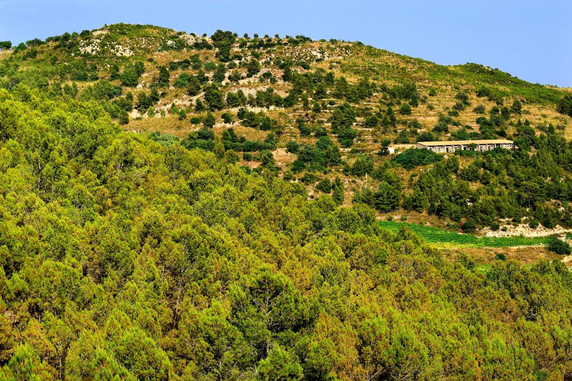 Kallikoros Country Resort & Spa Noto Exteriör bild