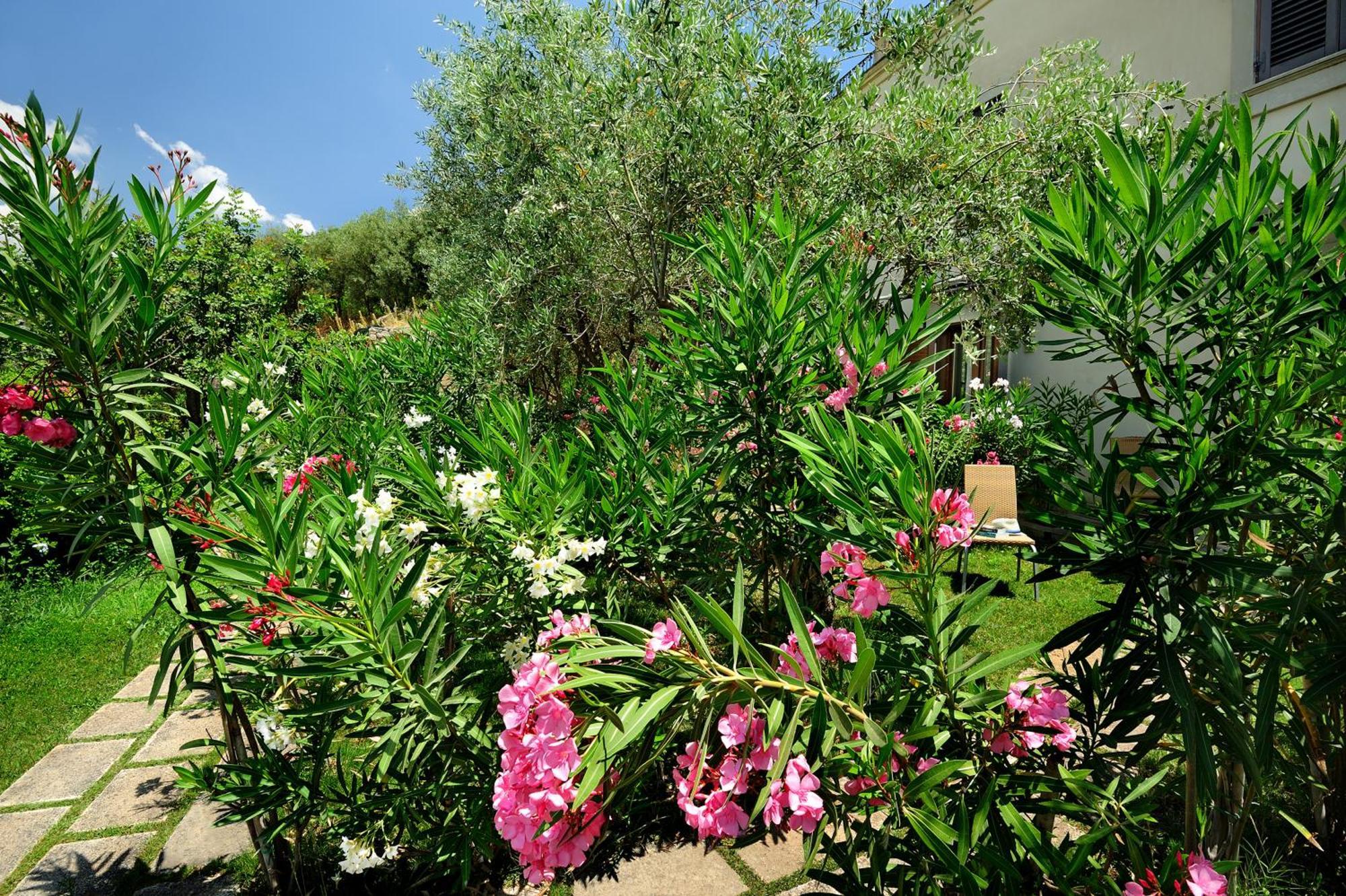 Kallikoros Country Resort & Spa Noto Exteriör bild