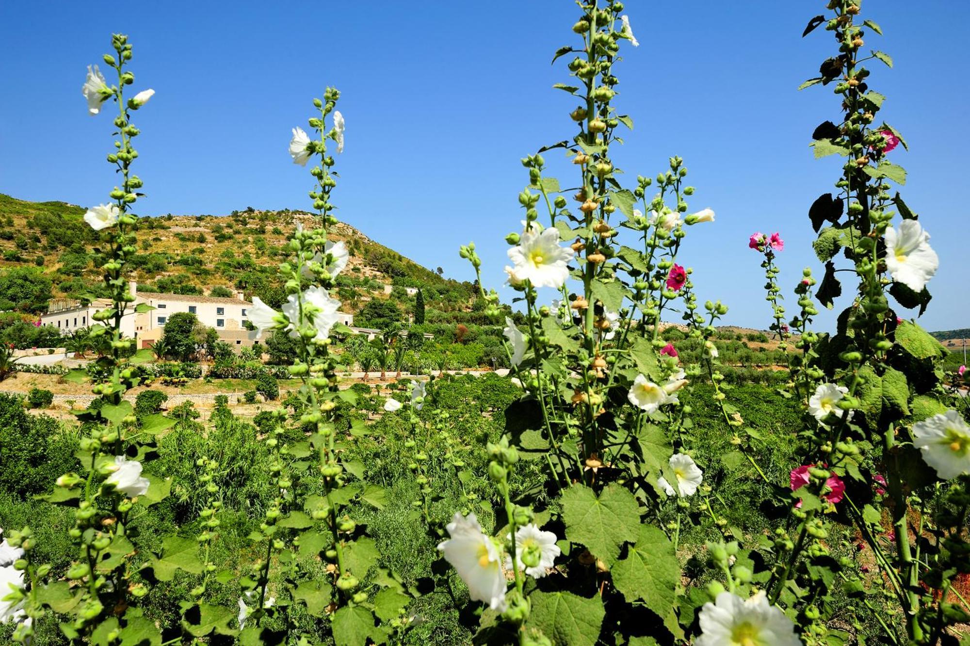 Kallikoros Country Resort & Spa Noto Exteriör bild